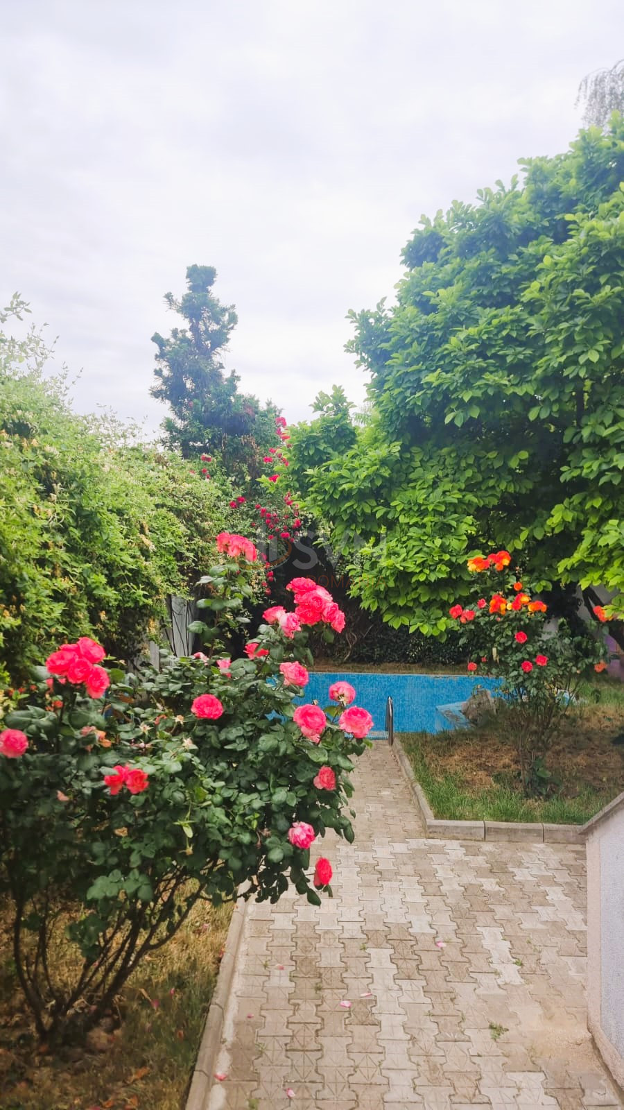 Casa, 7 camere Bucuresti/1 Mai