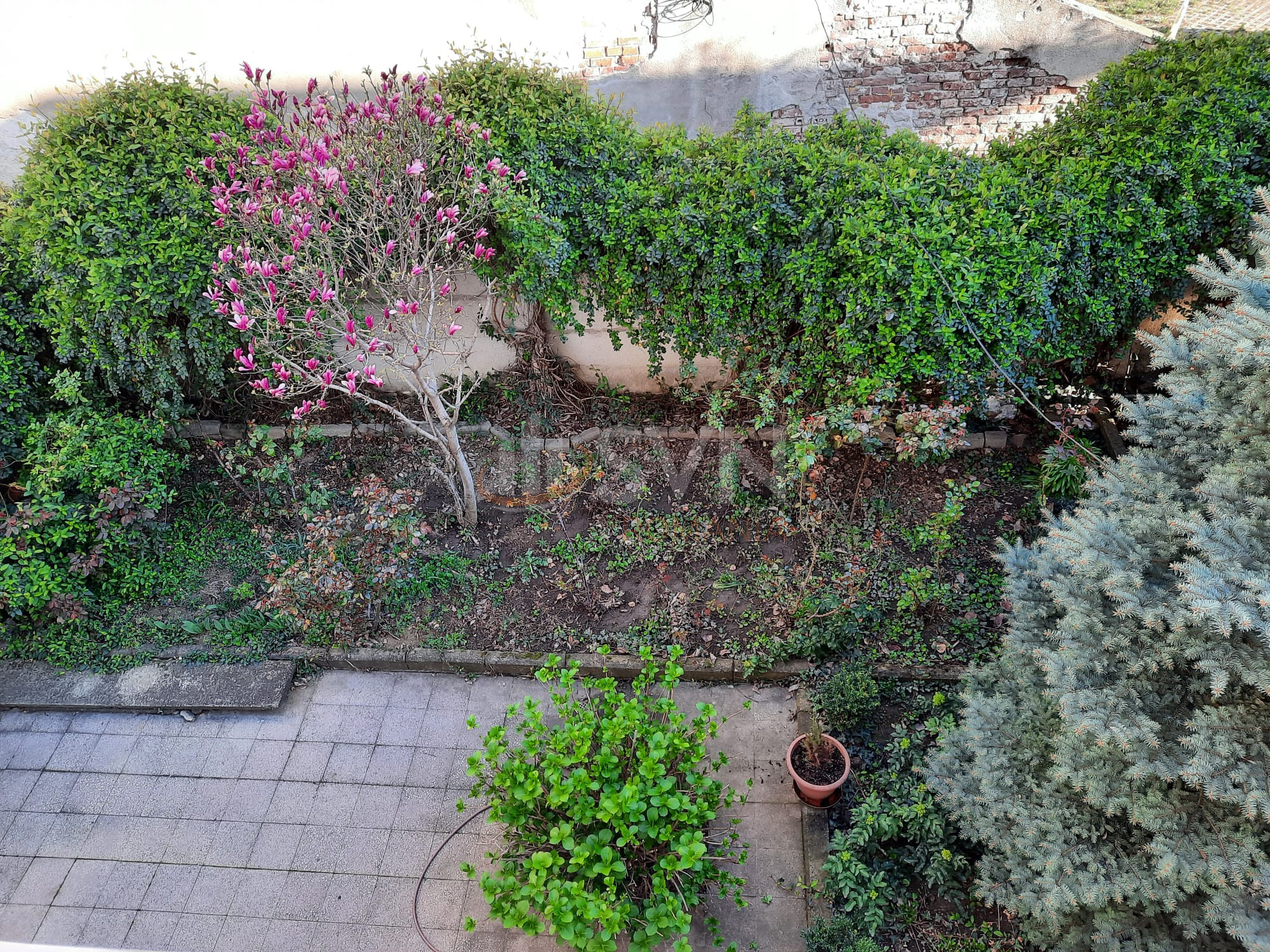 Casa, 7 camere Bucuresti/Piata Victoriei