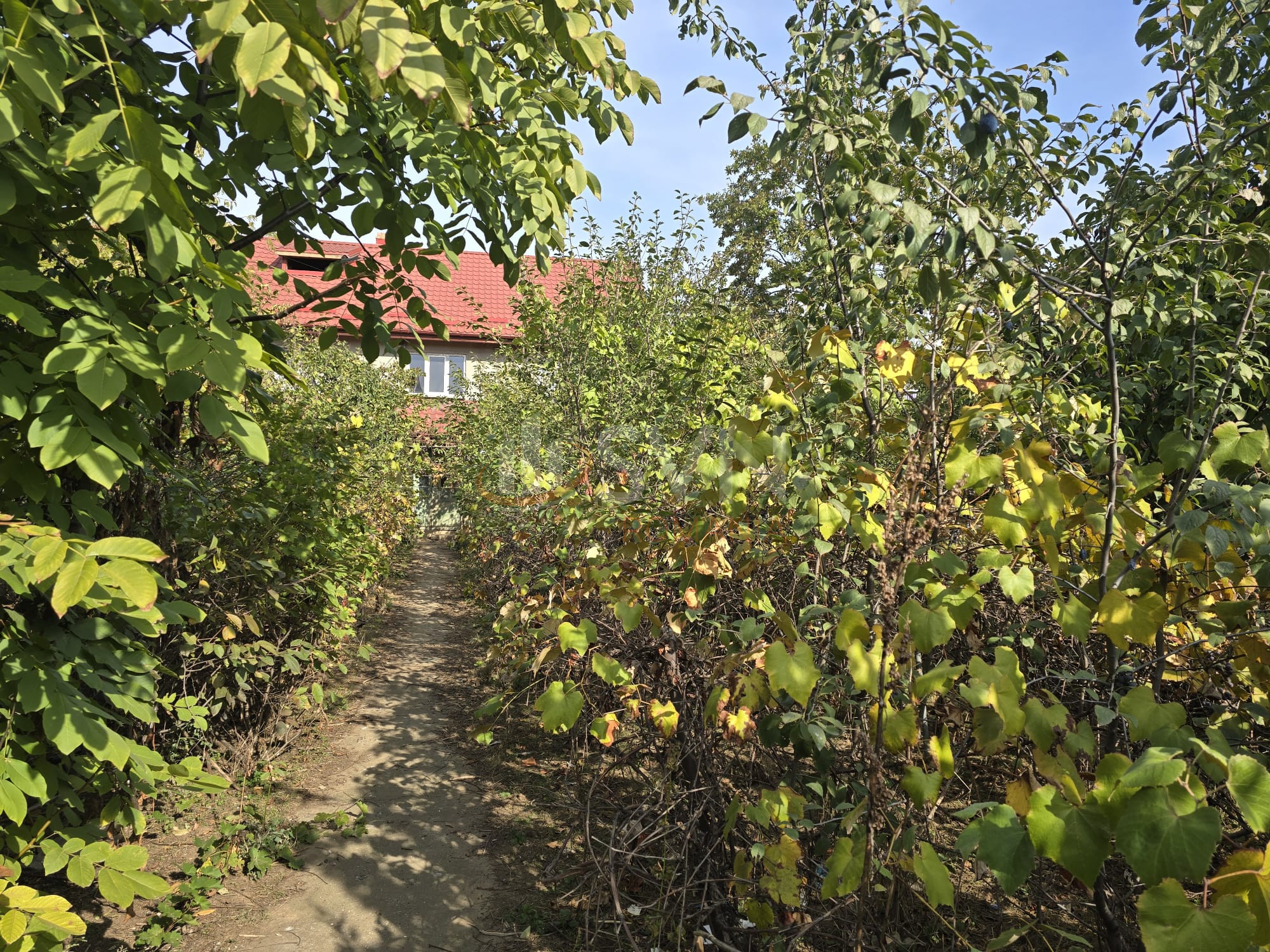 Casa, 7 camere Bucuresti/Rahova