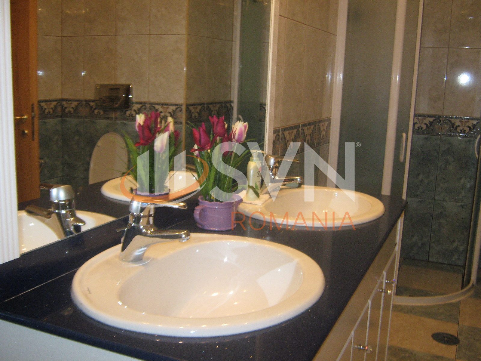 Casa, 8 camere Bucuresti/Herastrau