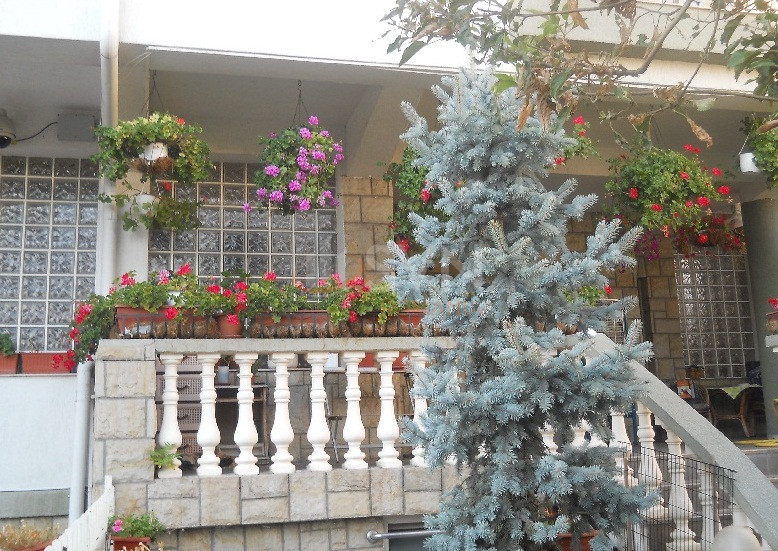 Casa, 8 camere Bucuresti/Stefan Cel Mare