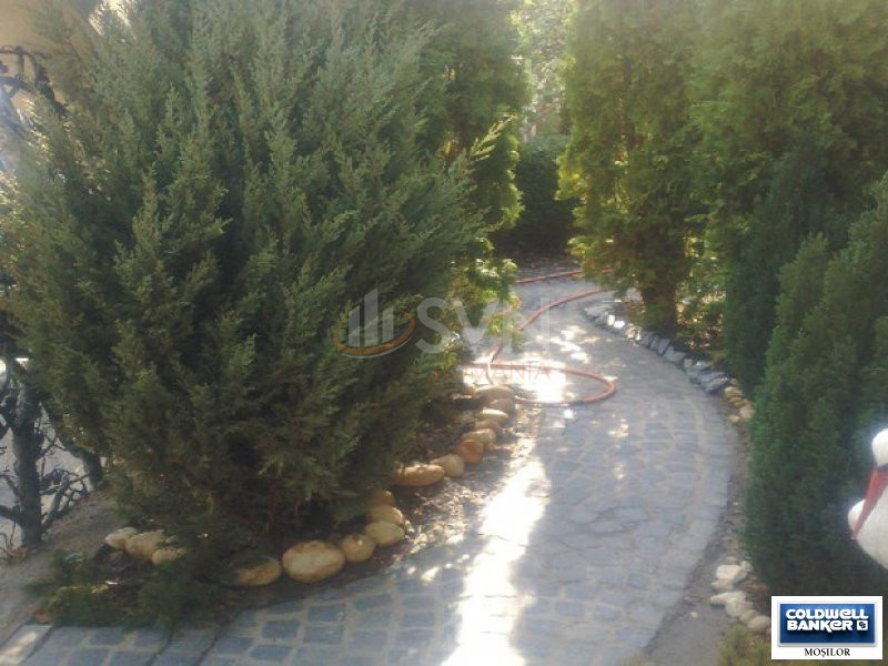 Casa, 8 camere Bucuresti/Colentina