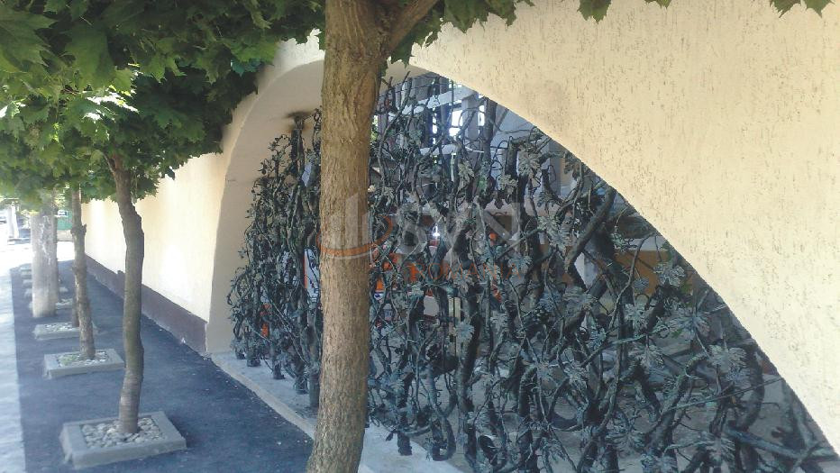 Casa, 8 camere Bucuresti/Colentina