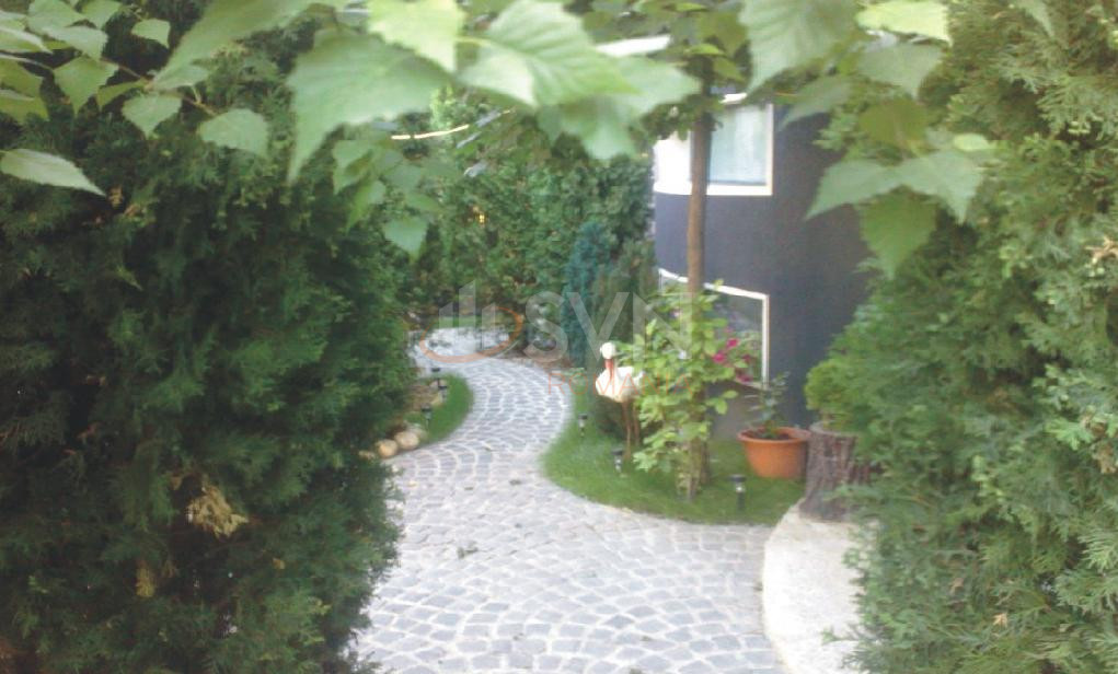 Casa, 8 camere Bucuresti/Colentina