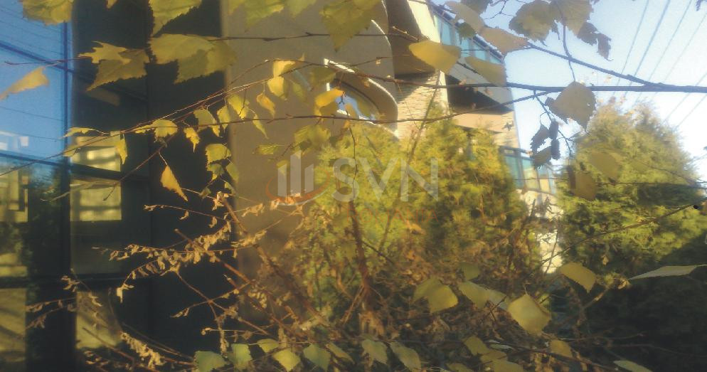 Casa, 8 camere Bucuresti/Colentina