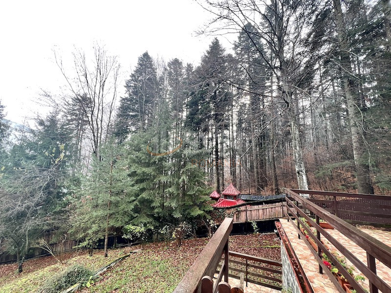 Casa, 8 camere Prahova/Centru