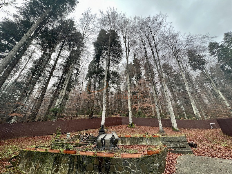 Casa, 8 camere Prahova/Centru