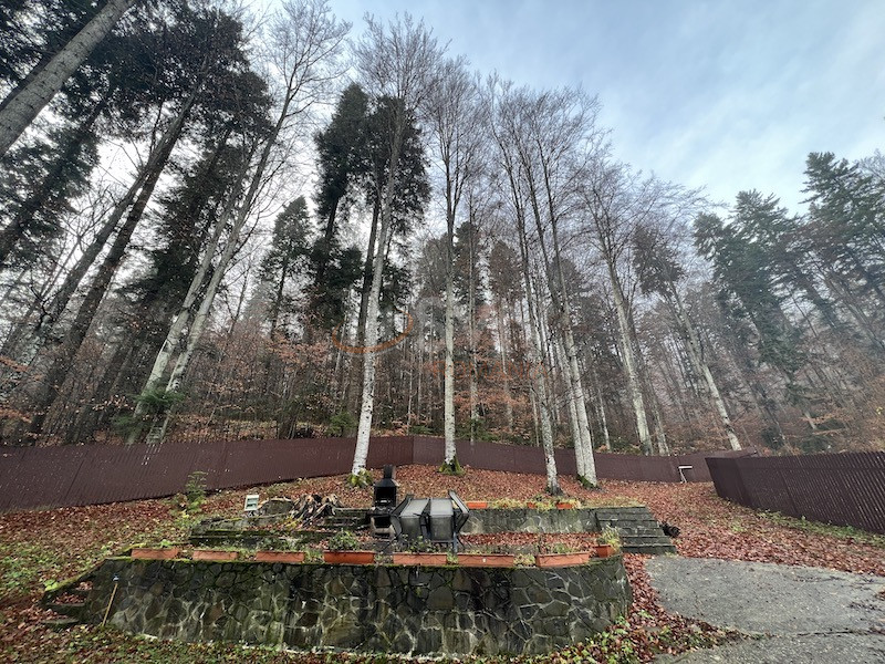 Casa, 8 camere Prahova/Centru