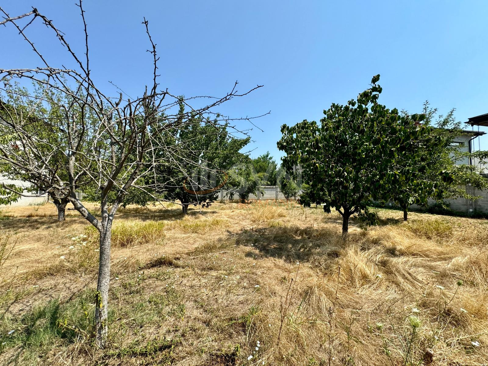 Casa, 9 camere Ilfov/Mogosoaia