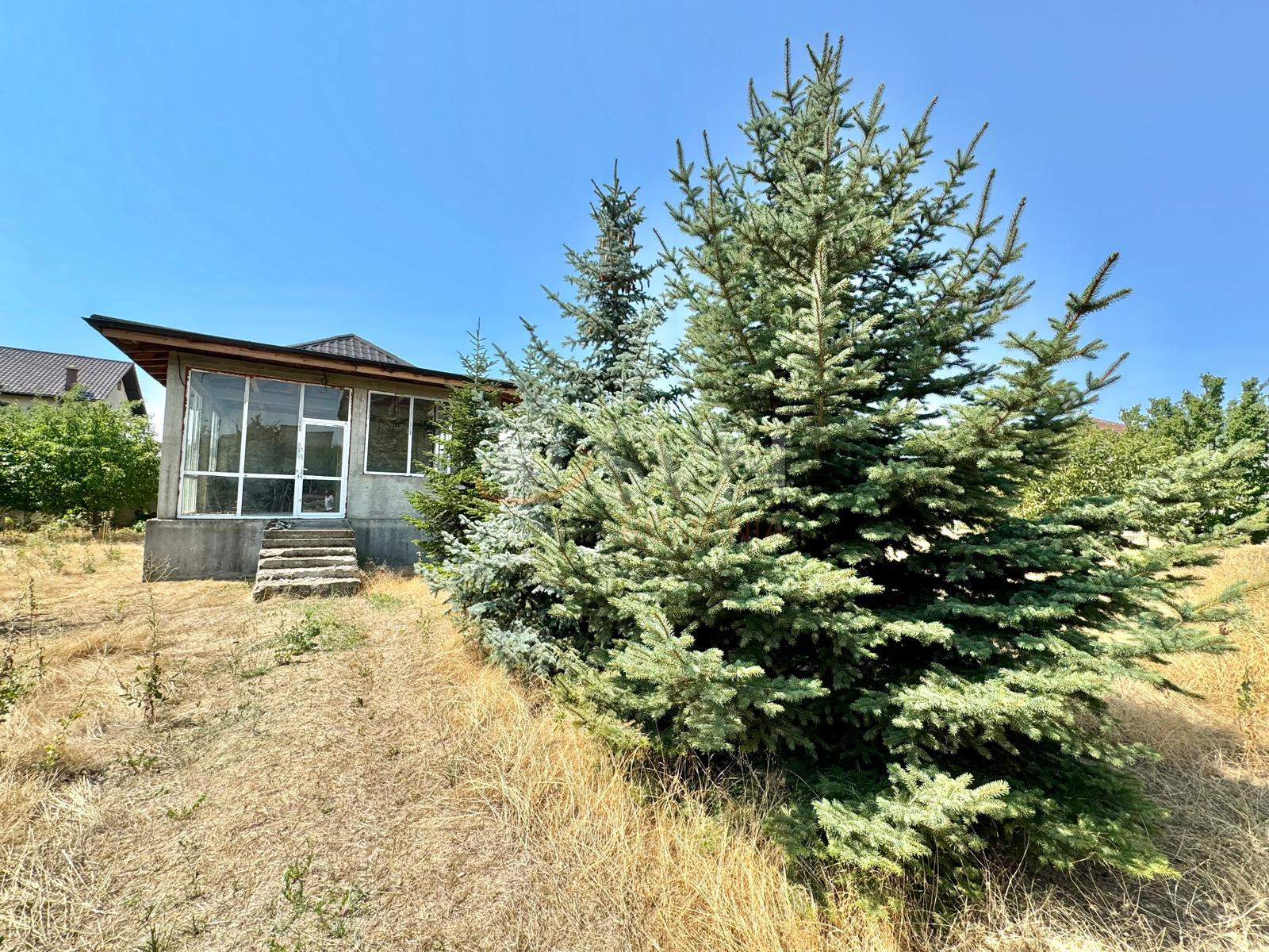 Casa, 9 camere Ilfov/Mogosoaia