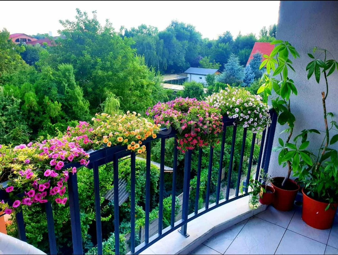 Garsoniera Bucuresti/Pipera