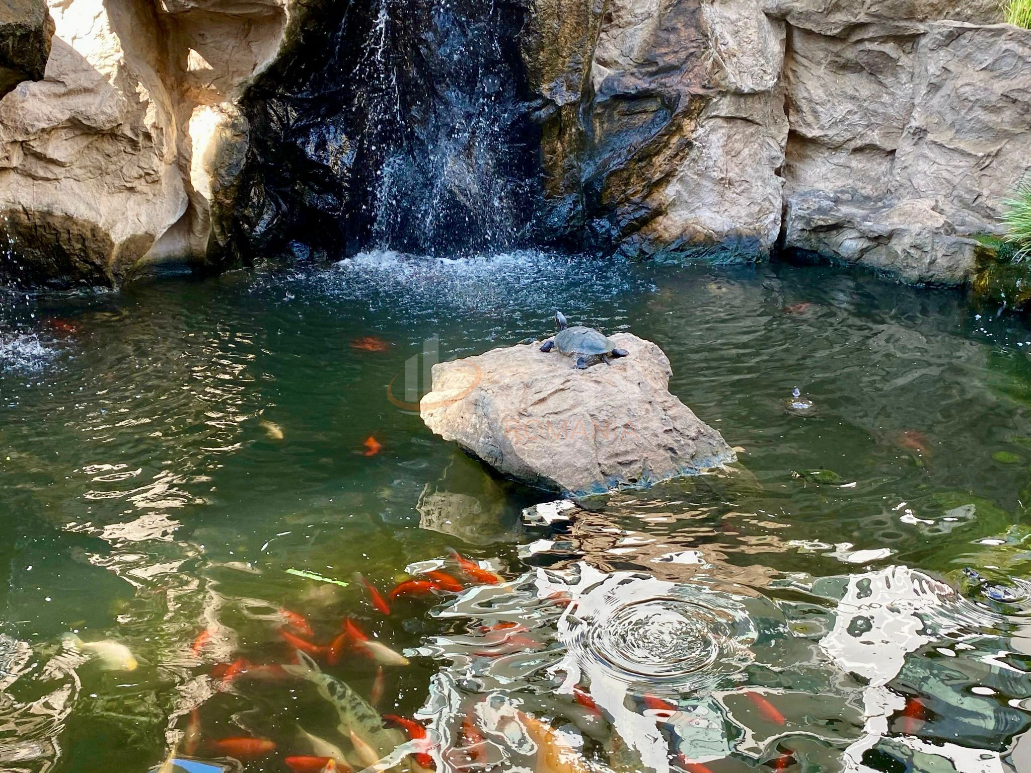 Garsoniera Bucuresti/Aviatiei