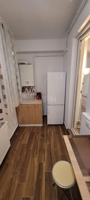 Garsoniera Ilfov/Rosu