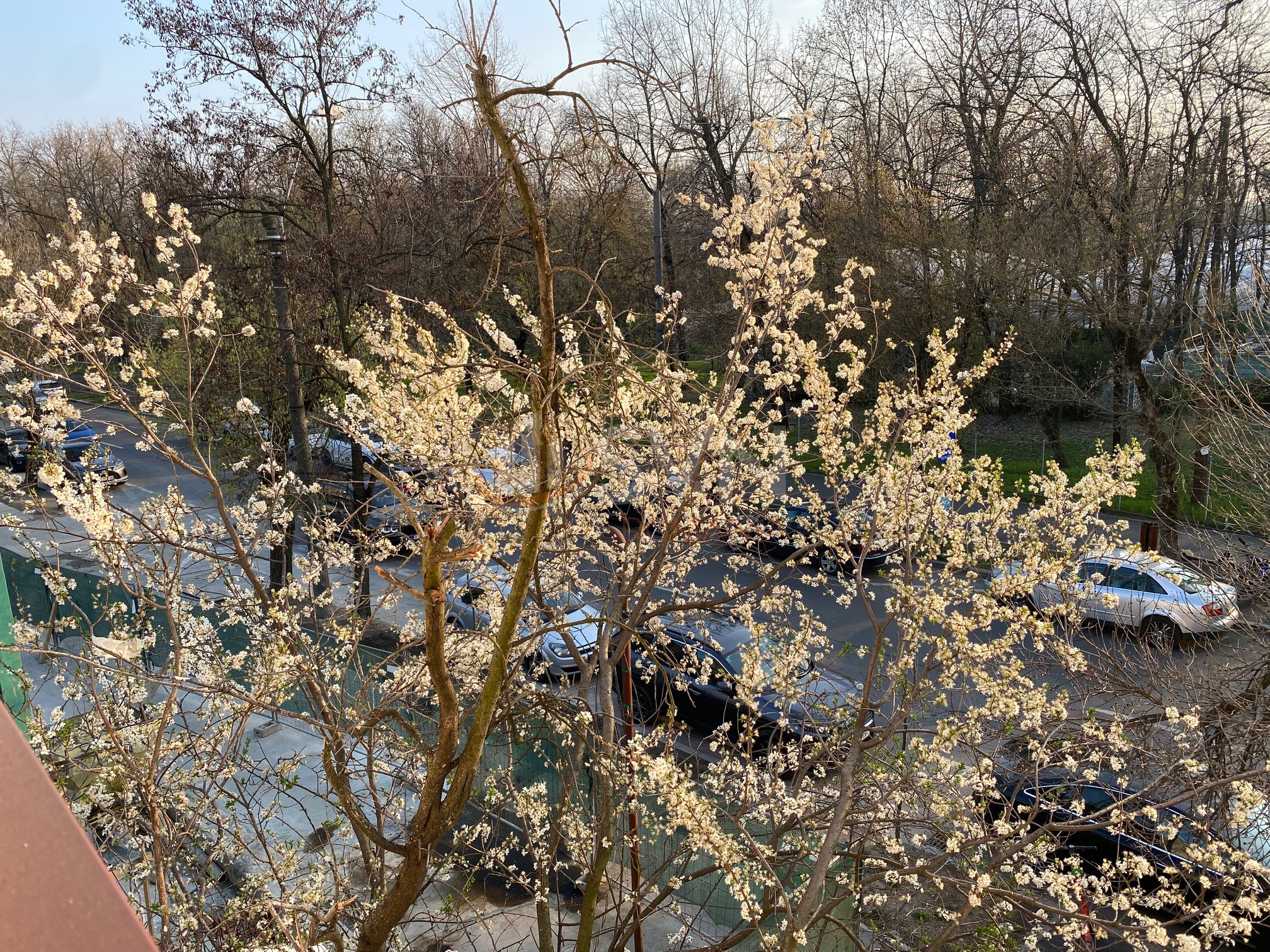 Garsoniera Bucuresti/Herastrau
