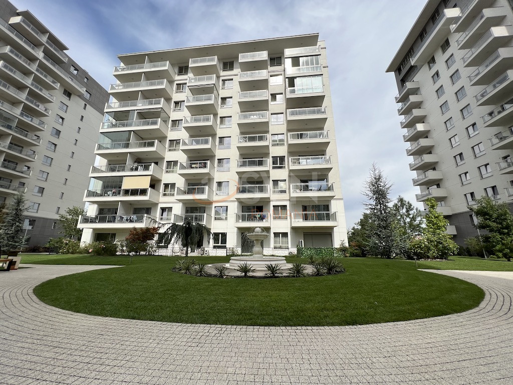 Garsoniera Bucuresti/Domenii