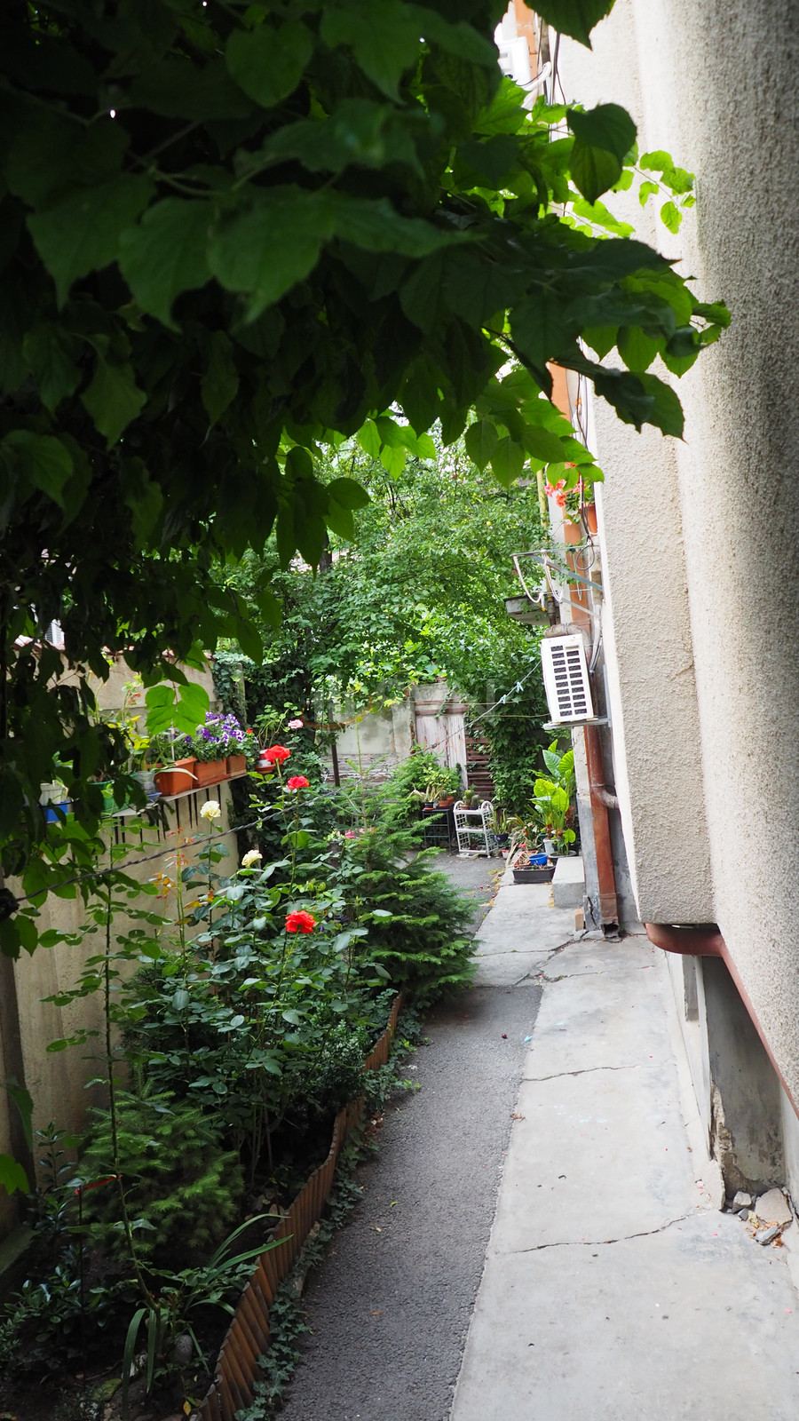 Garsoniera Bucuresti/Pache Protopopescu
