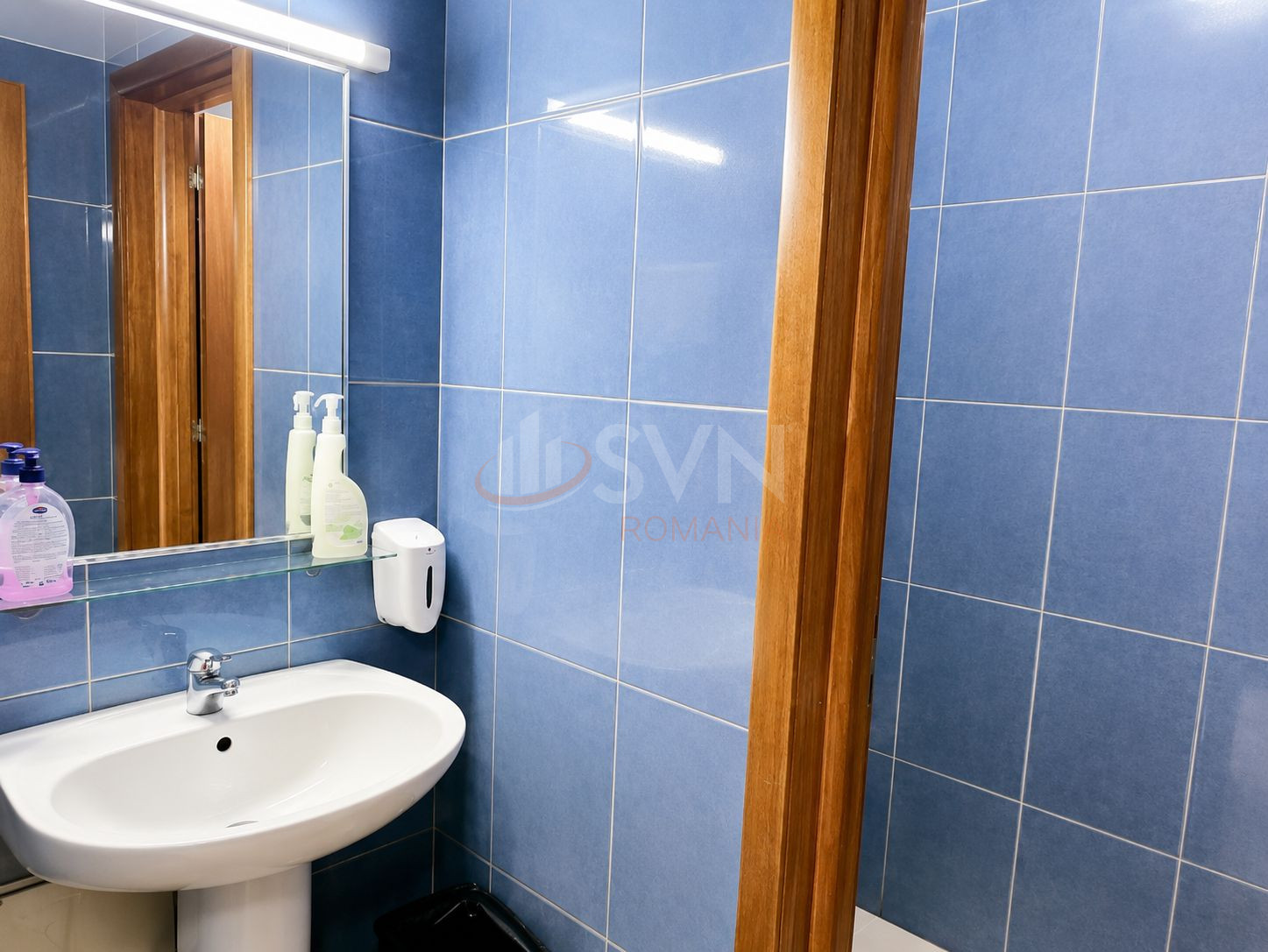 Spatiu comercial 109 mp Bucuresti/Domenii