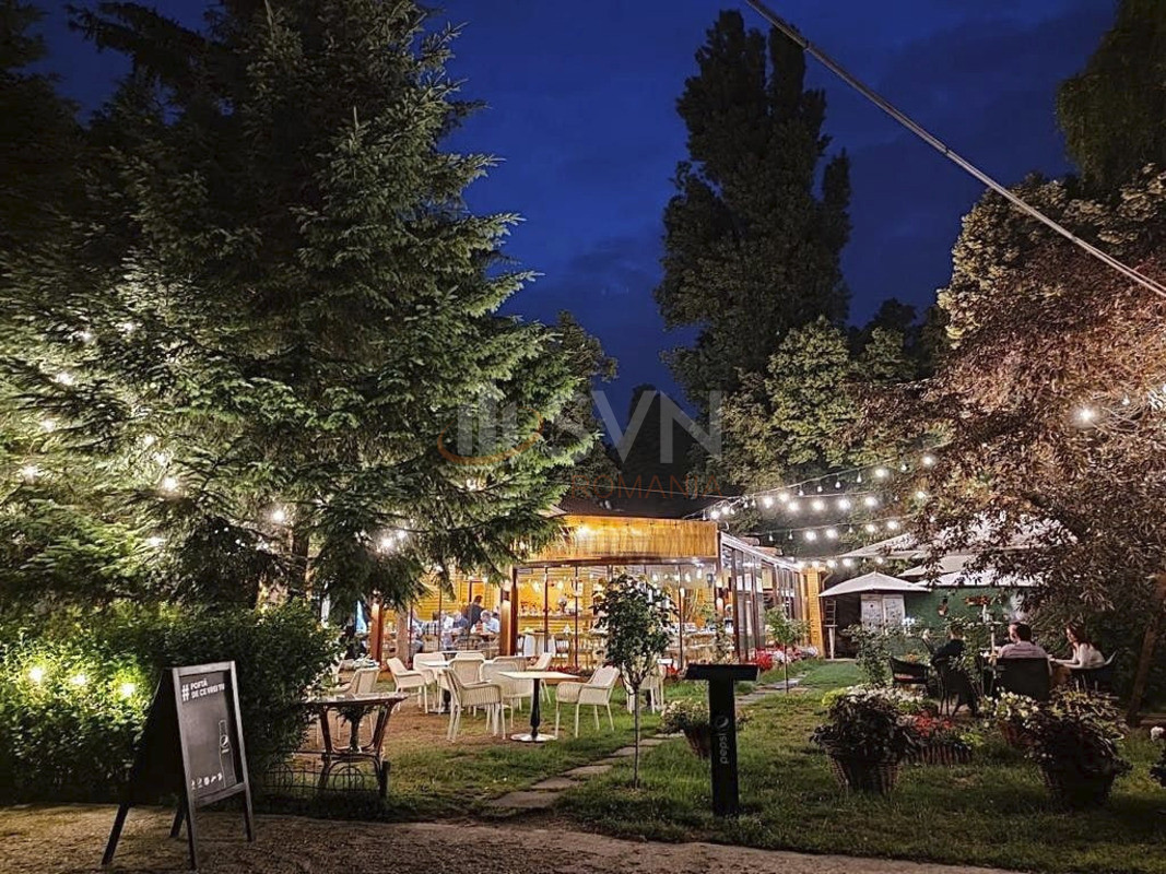 Spatiu comercial 120 mp Bucuresti/Herastrau