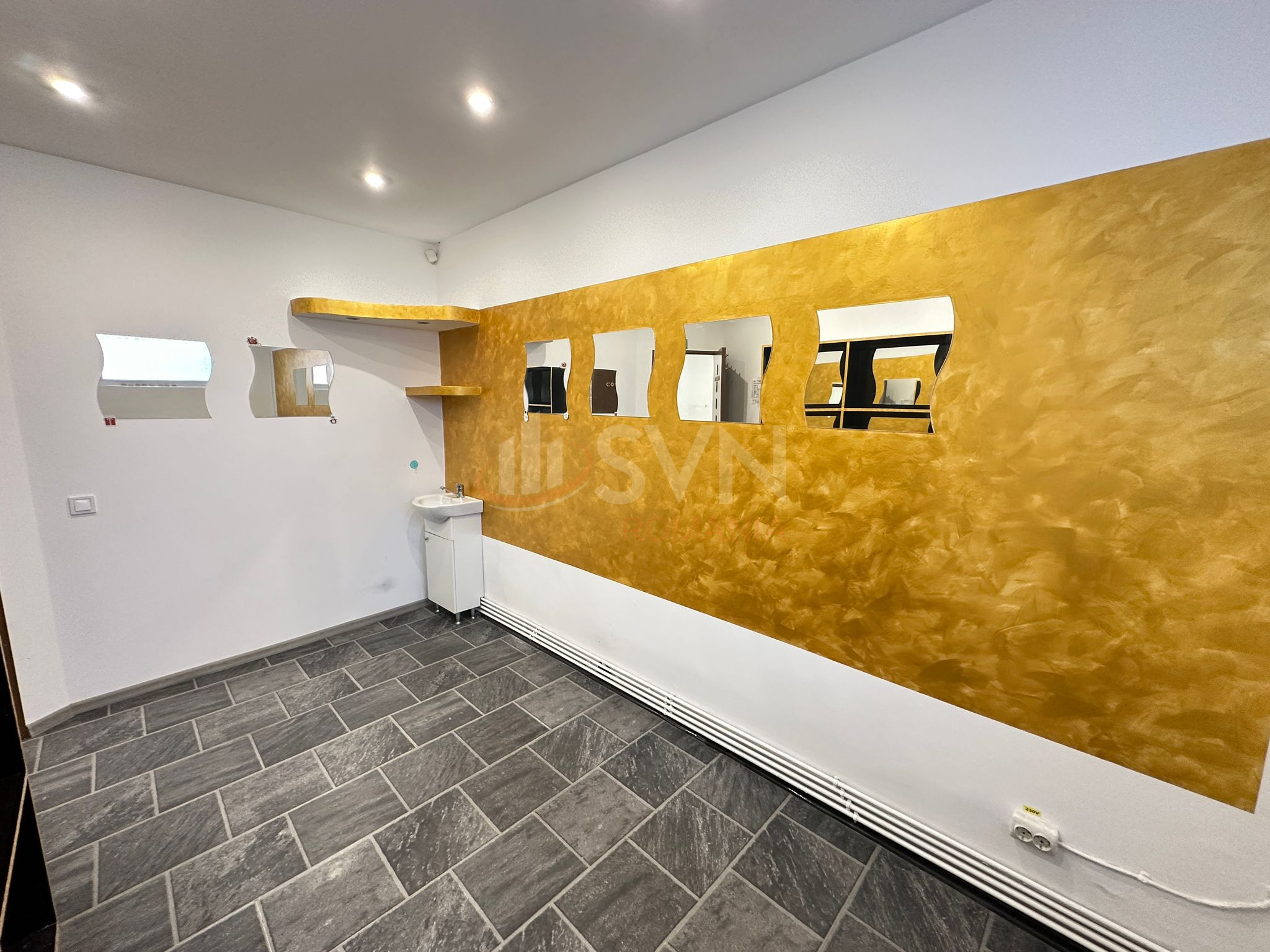 Spatiu comercial 123.73 mp Bucuresti/Titulescu