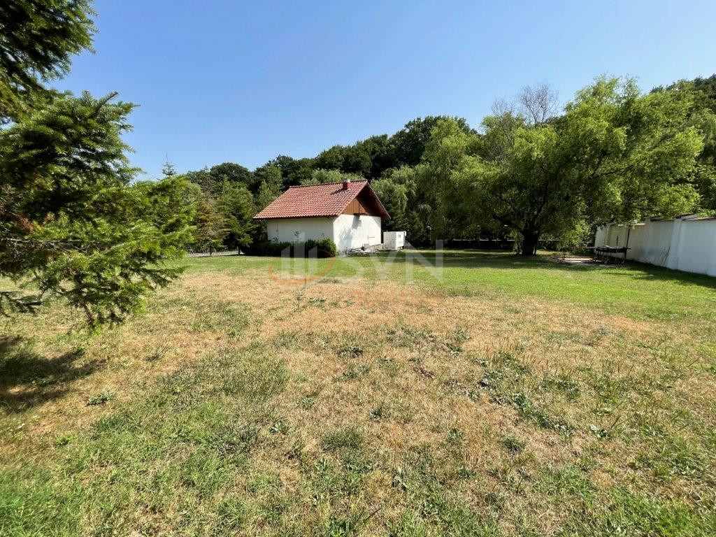 Spatiu comercial 1500 mp Ilfov/Peris