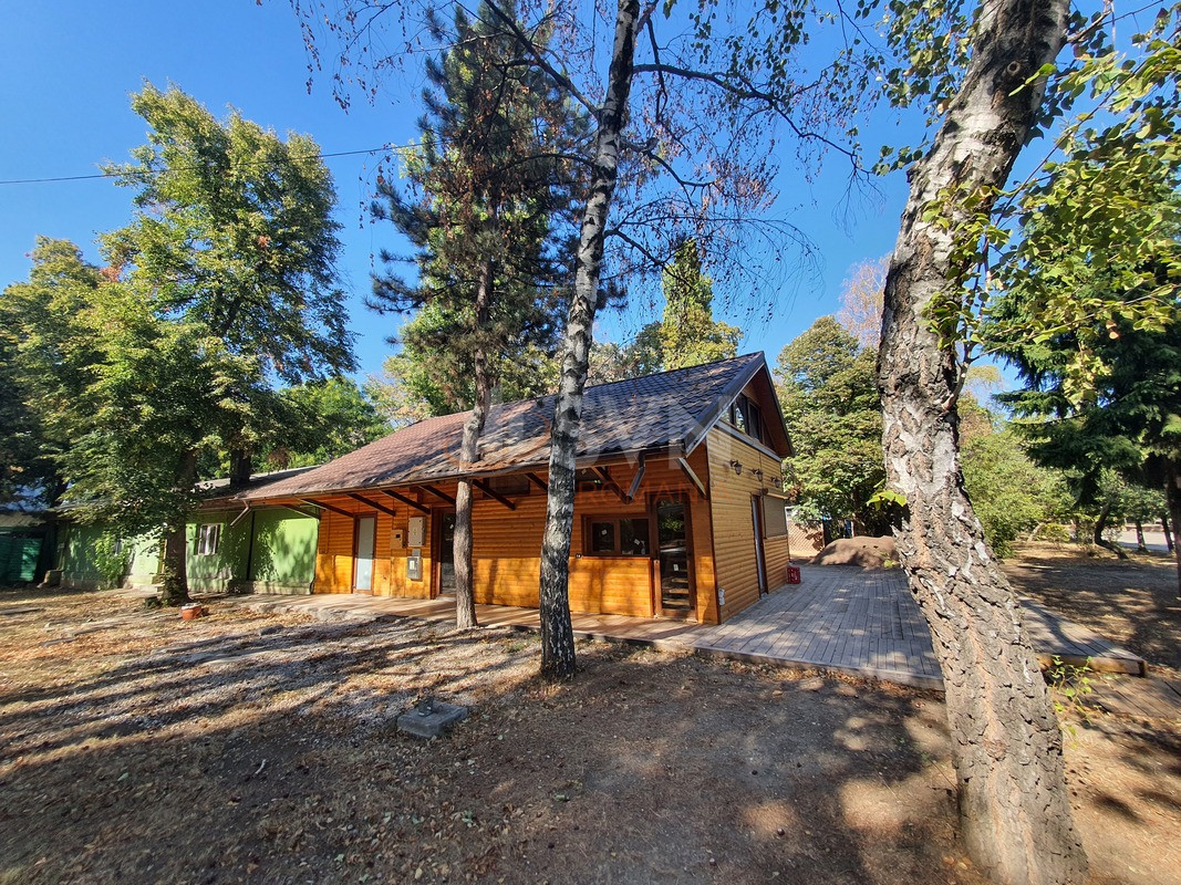 Spatiu comercial 242 mp Bucuresti/Herastrau