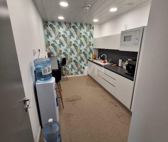 Spatiu comercial 246.53 mp Bucuresti/Herastrau