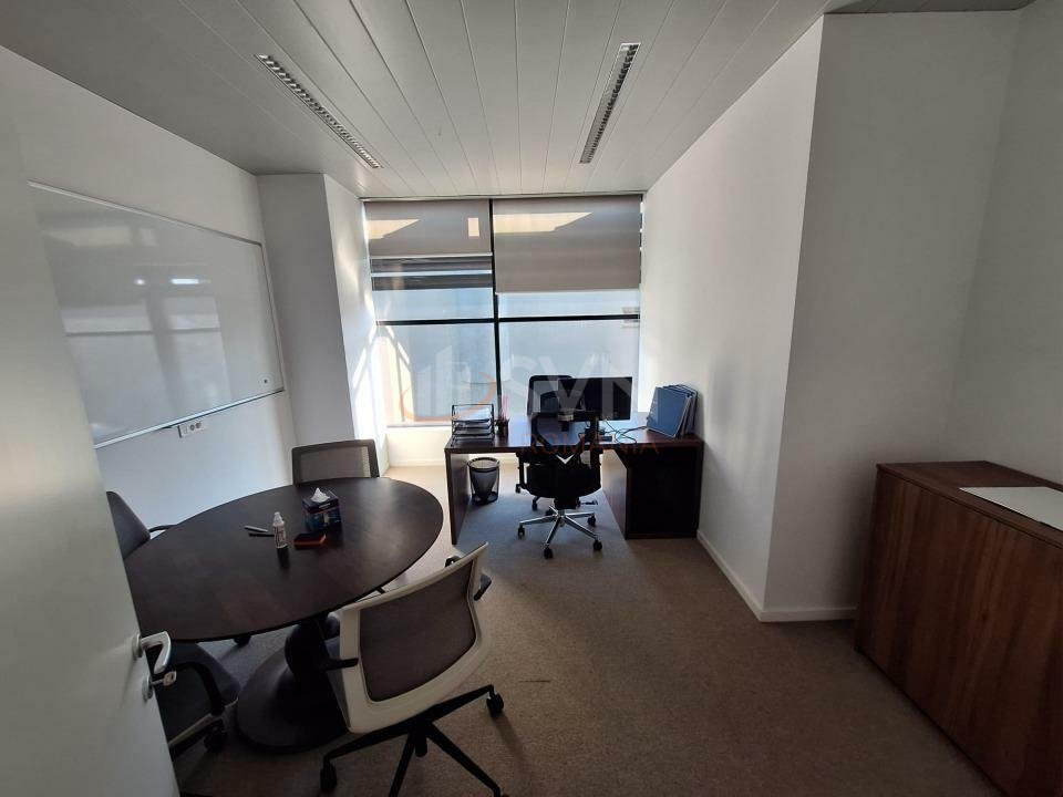 Spatiu comercial 246.53 mp Bucuresti/Herastrau
