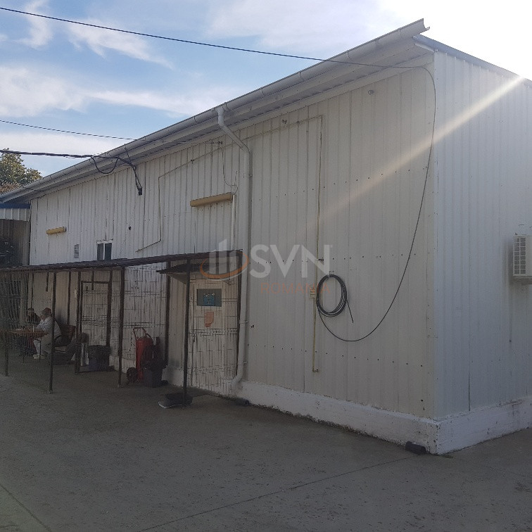 Spatiu comercial 2900 mp Ialomita/Centru