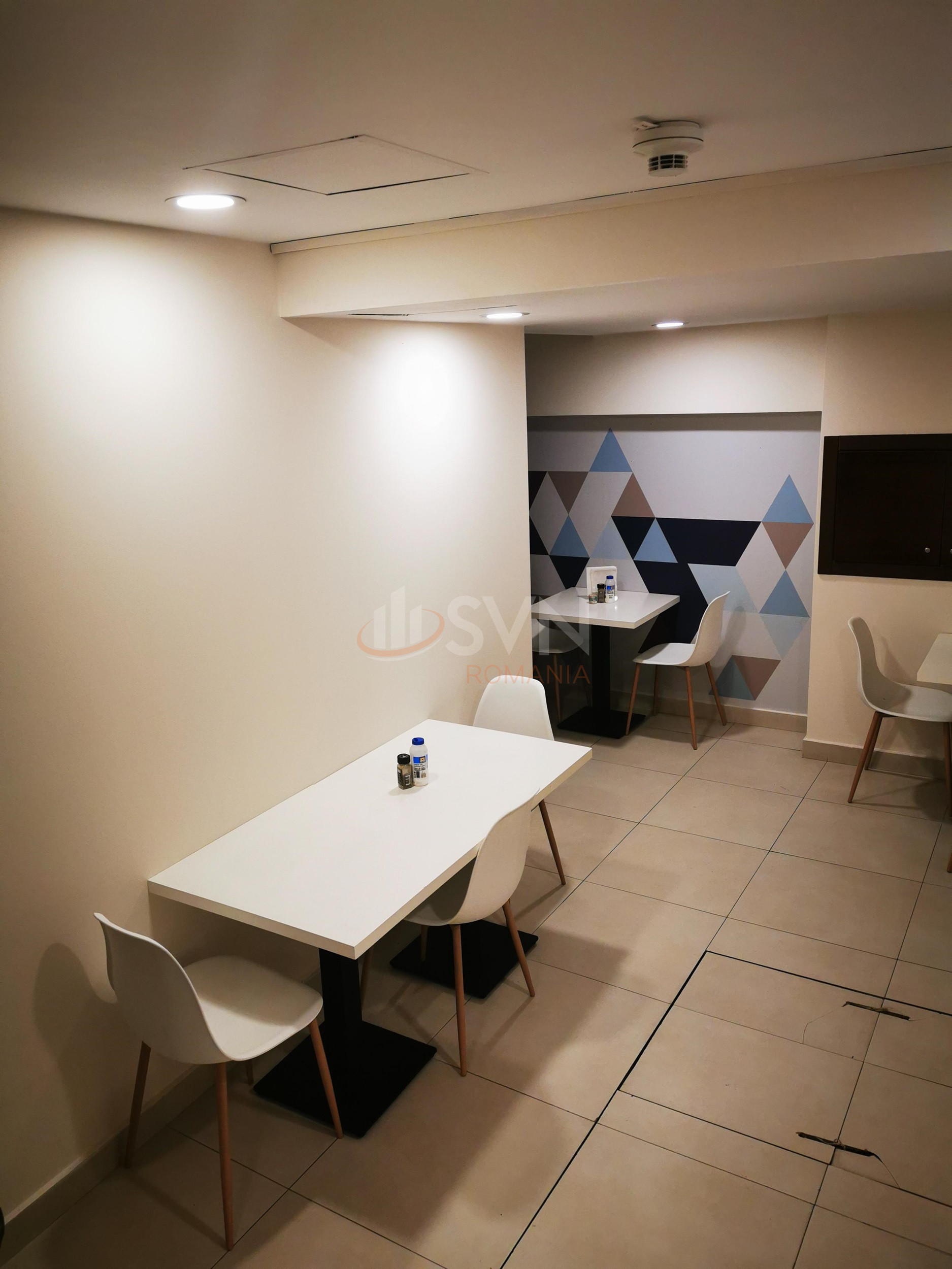 Spatiu comercial 308 mp Bucuresti/Gradina Icoanei