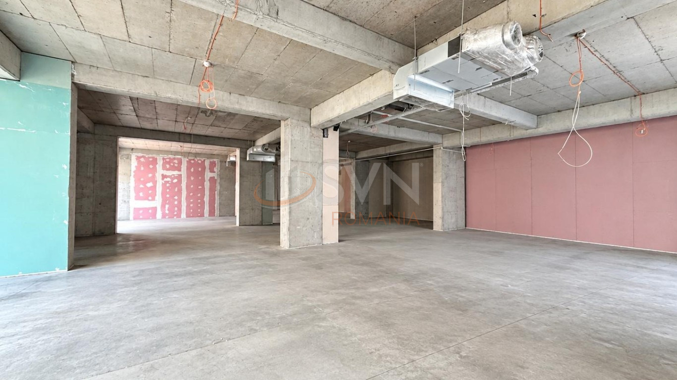 Spatiu comercial 359.6 mp Bucuresti/Herastrau