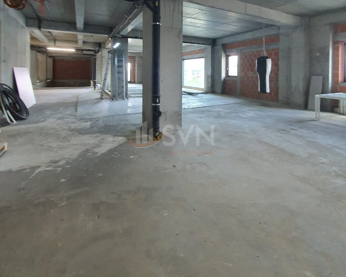 Spatiu comercial 466 mp Bucuresti/Herastrau