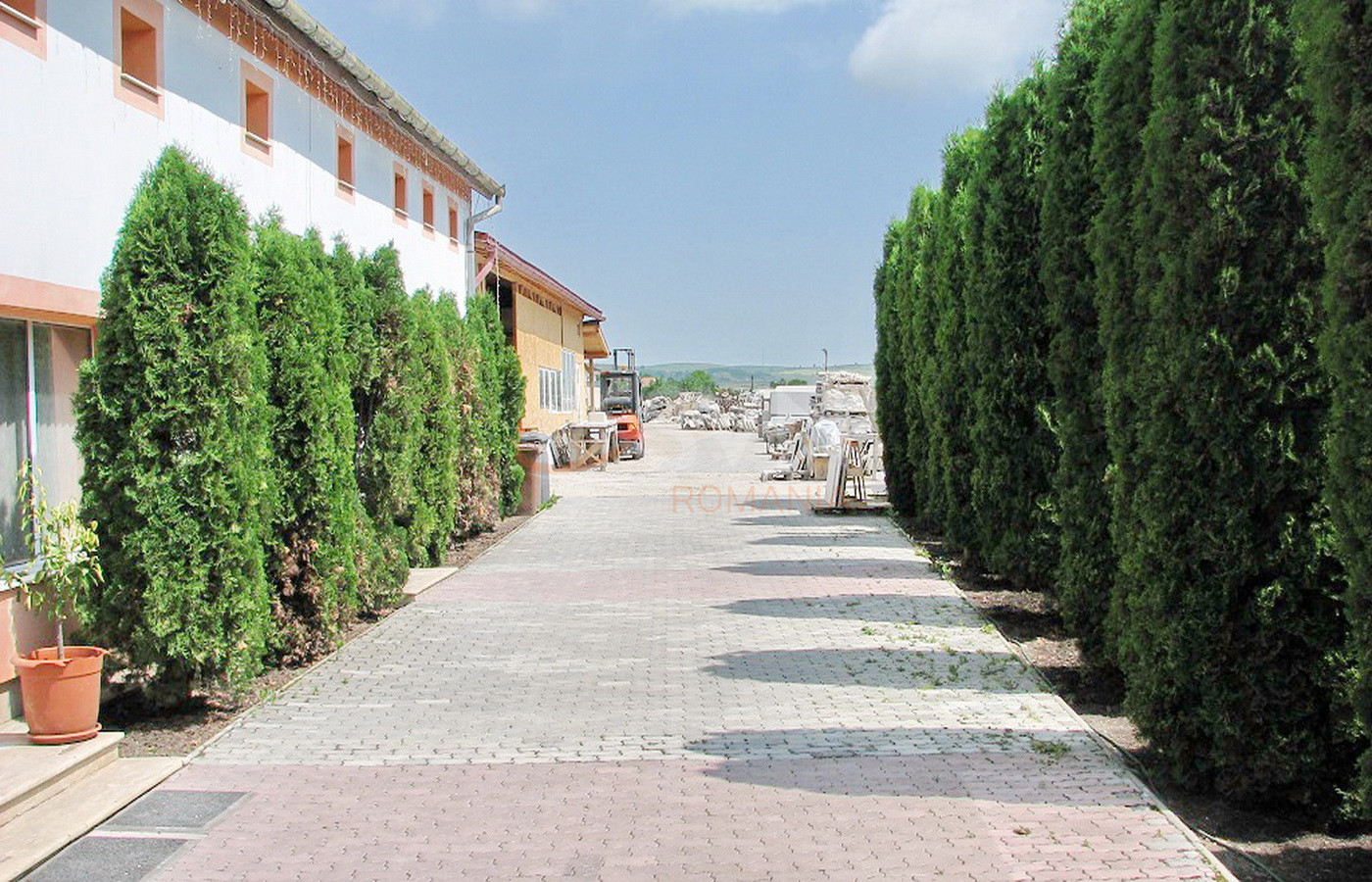 Spatiu comercial 600 mp Cluj/Centru