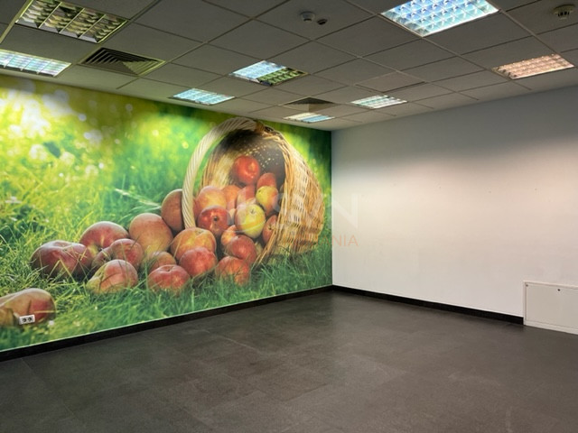 Spatiu comercial 600 mp Bucuresti/Clucerului