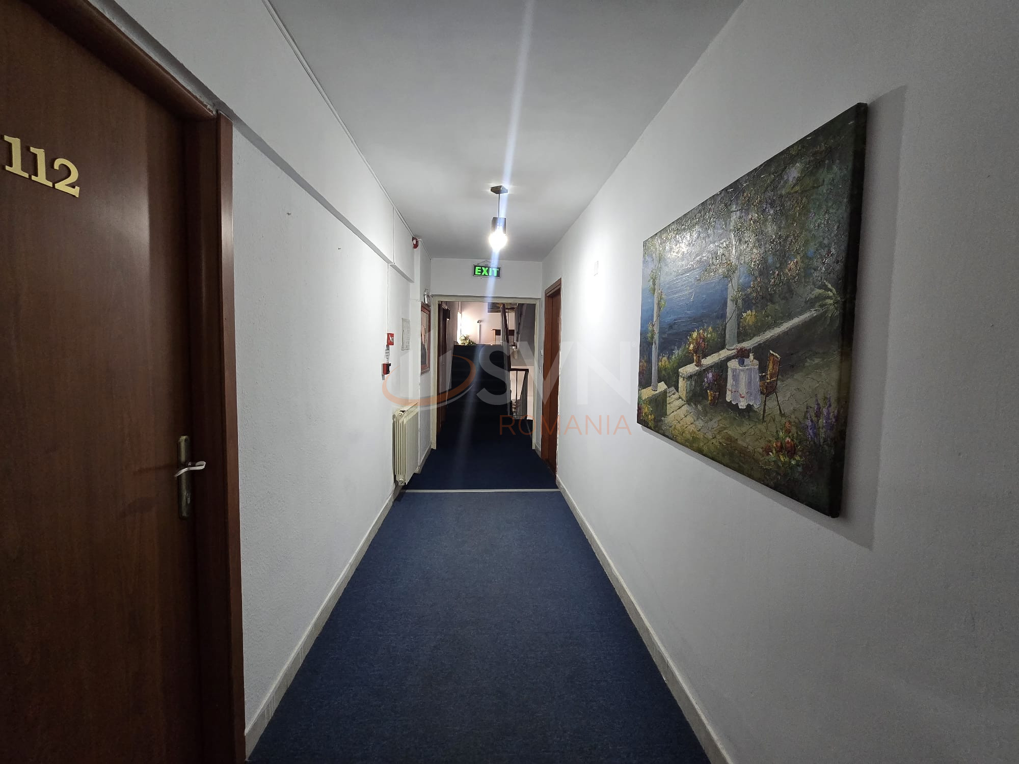 Spatiu comercial 743 mp Ilfov/Domnesti