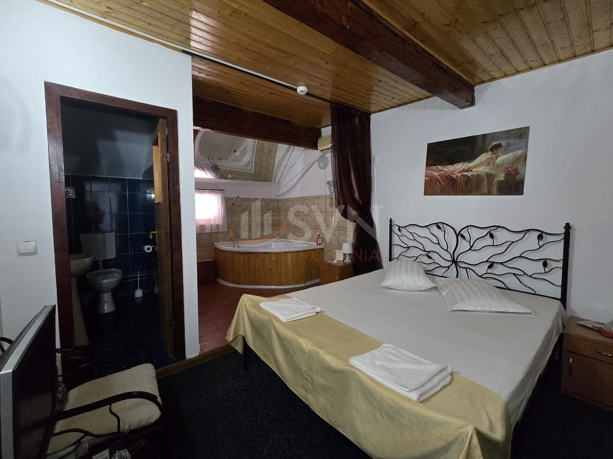 Spatiu comercial 743 mp Ilfov/Domnesti