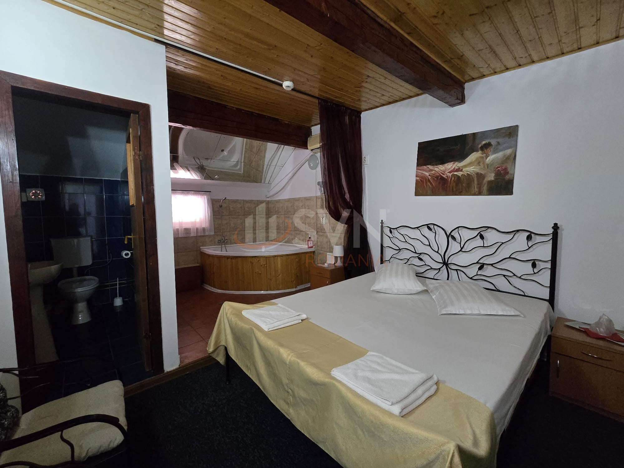 Spatiu comercial 743 mp Ilfov/Domnesti