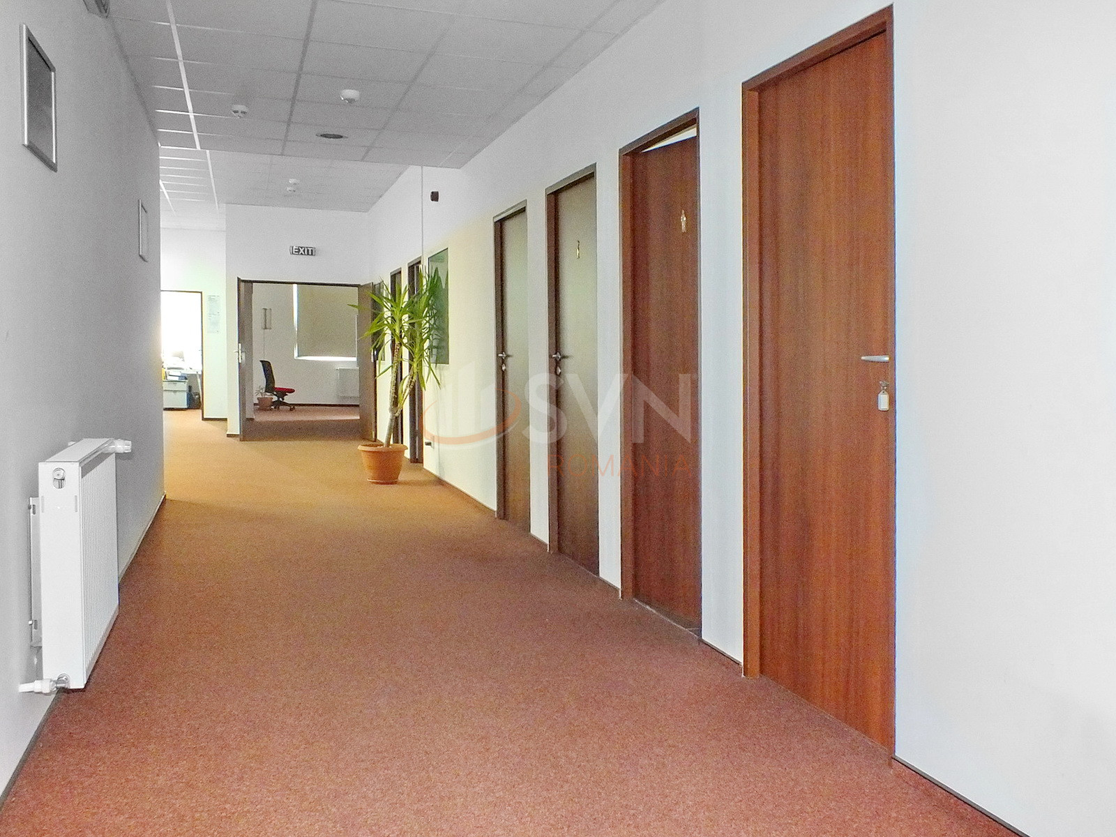 Spatiu comercial 9000 mp Brasov/Ghimbav Livada