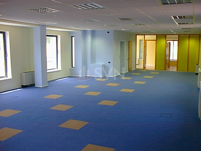 Spatiu comercial 919 mp Bucuresti/Polona
