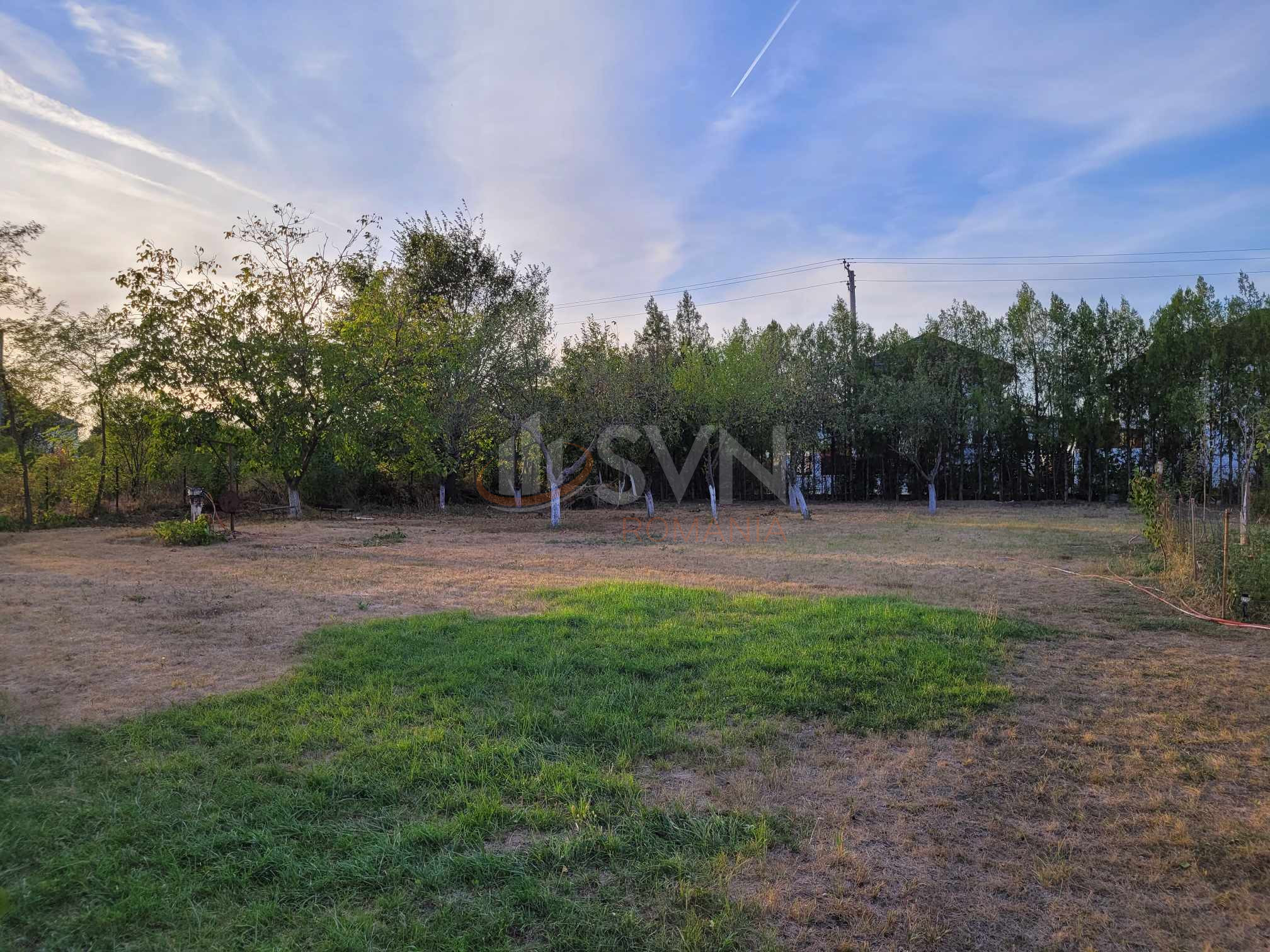 Teren 1000 mp Ilfov/Corbeanca