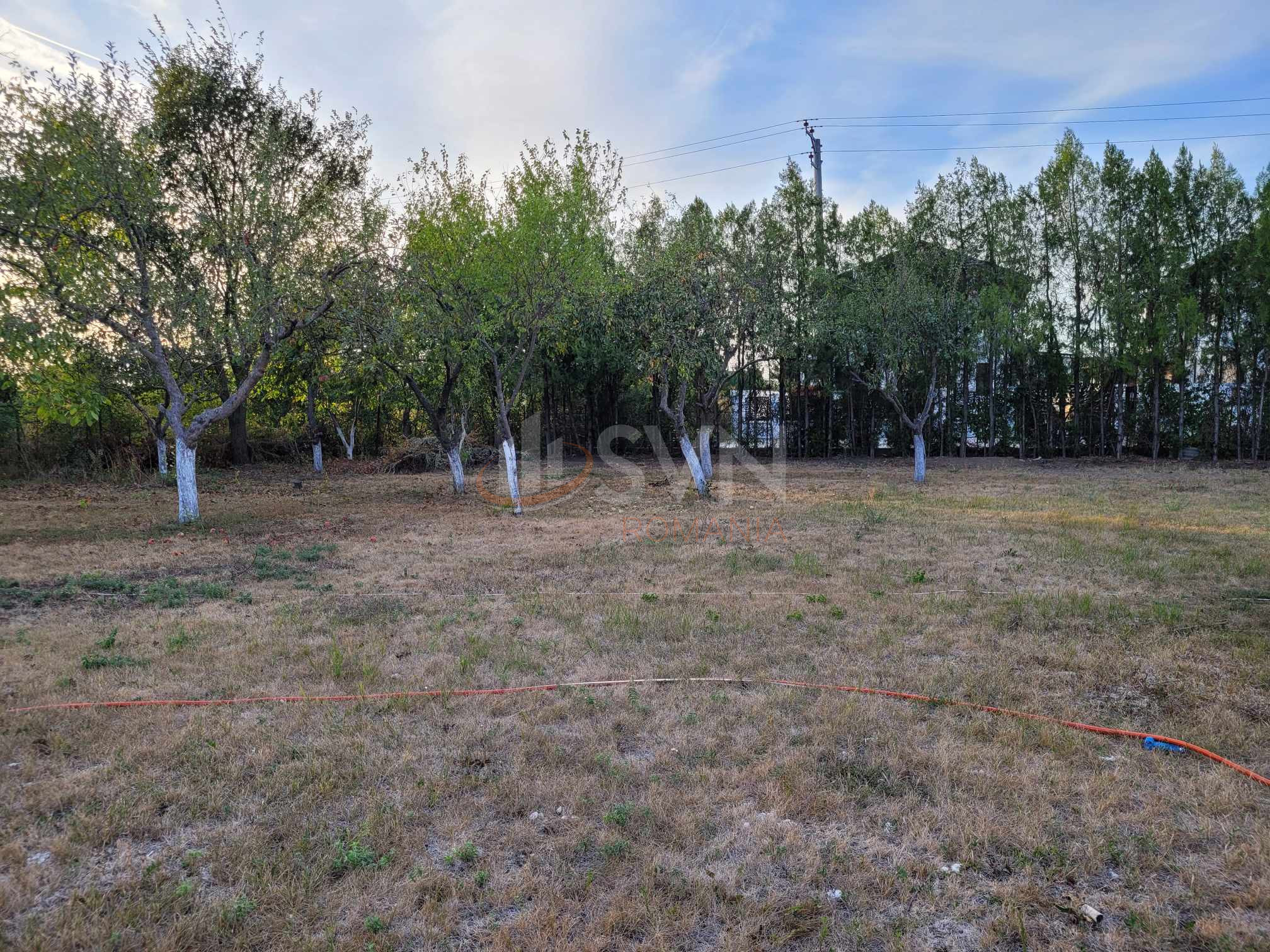 Teren 1000 mp Ilfov/Corbeanca