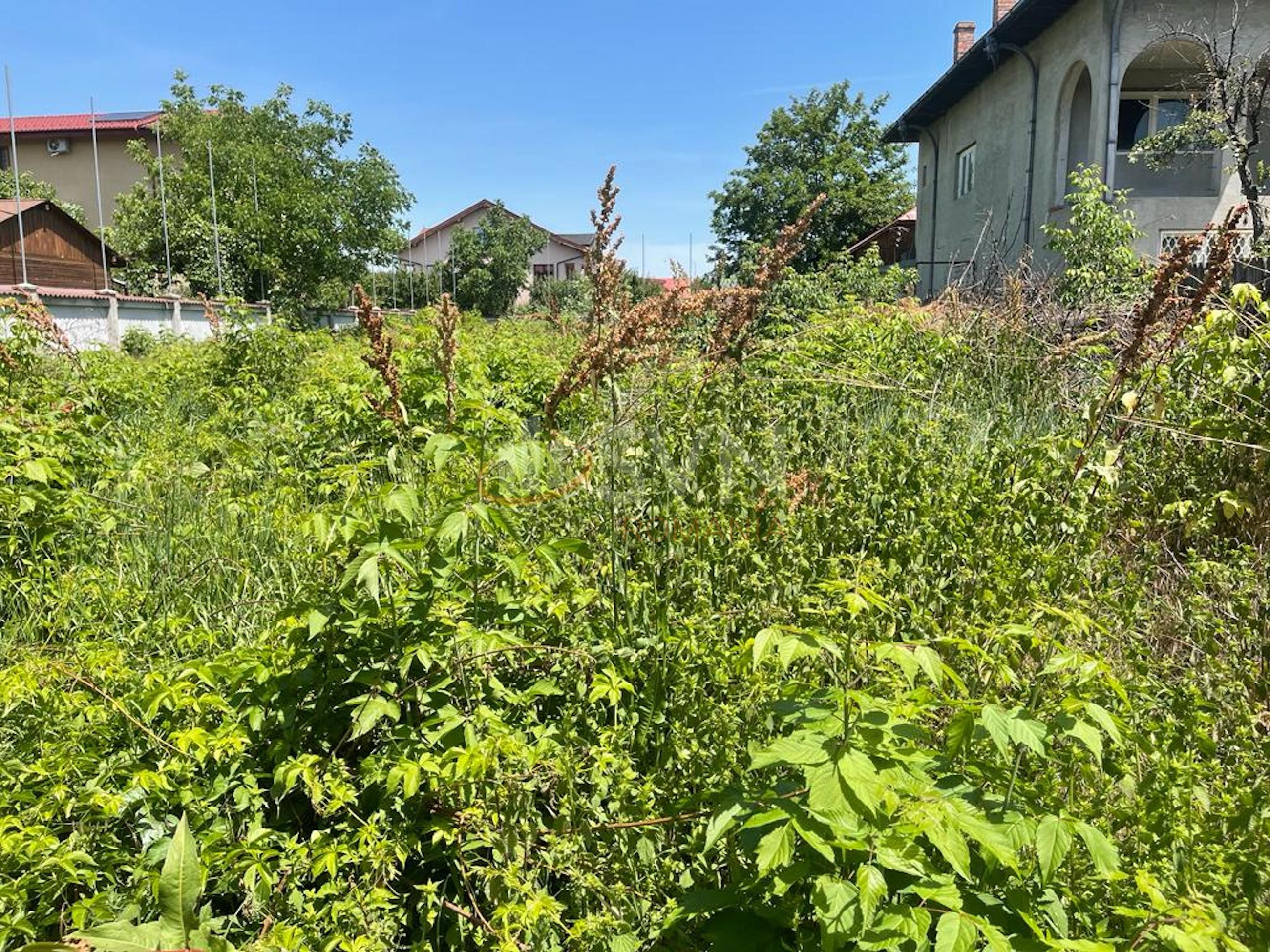 Teren 1000 mp Ilfov/Voluntari