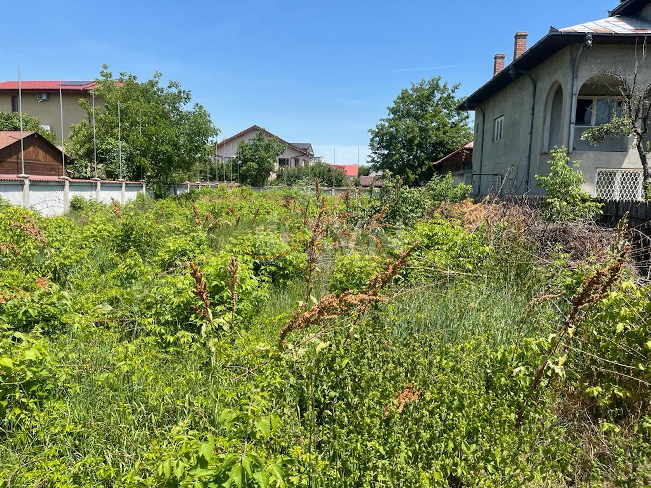 Teren 1000 mp Ilfov/Voluntari