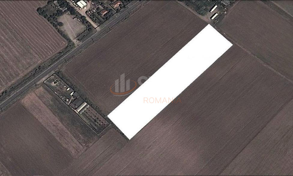 Teren 10000 mp Ilfov/Dascalu