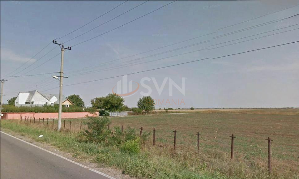 Teren 10000 mp Ilfov/Dascalu