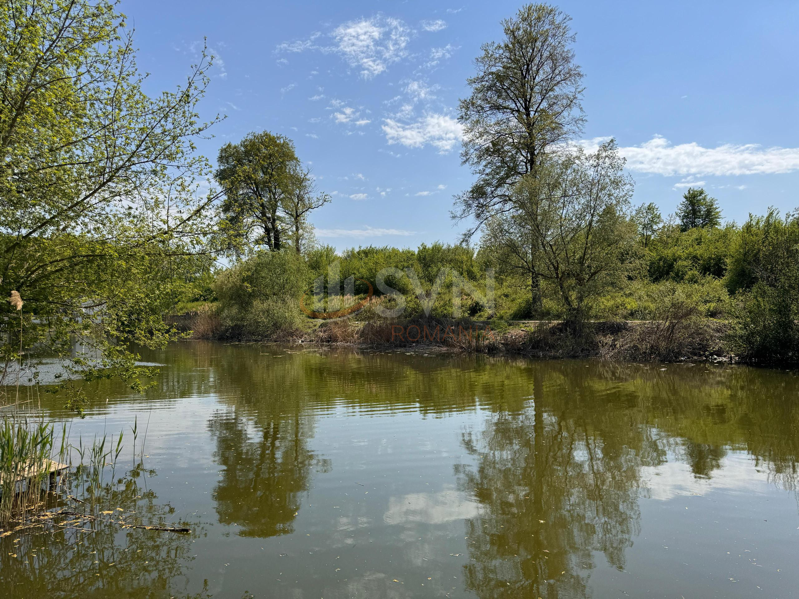 Teren 10000 mp Ilfov/Centru