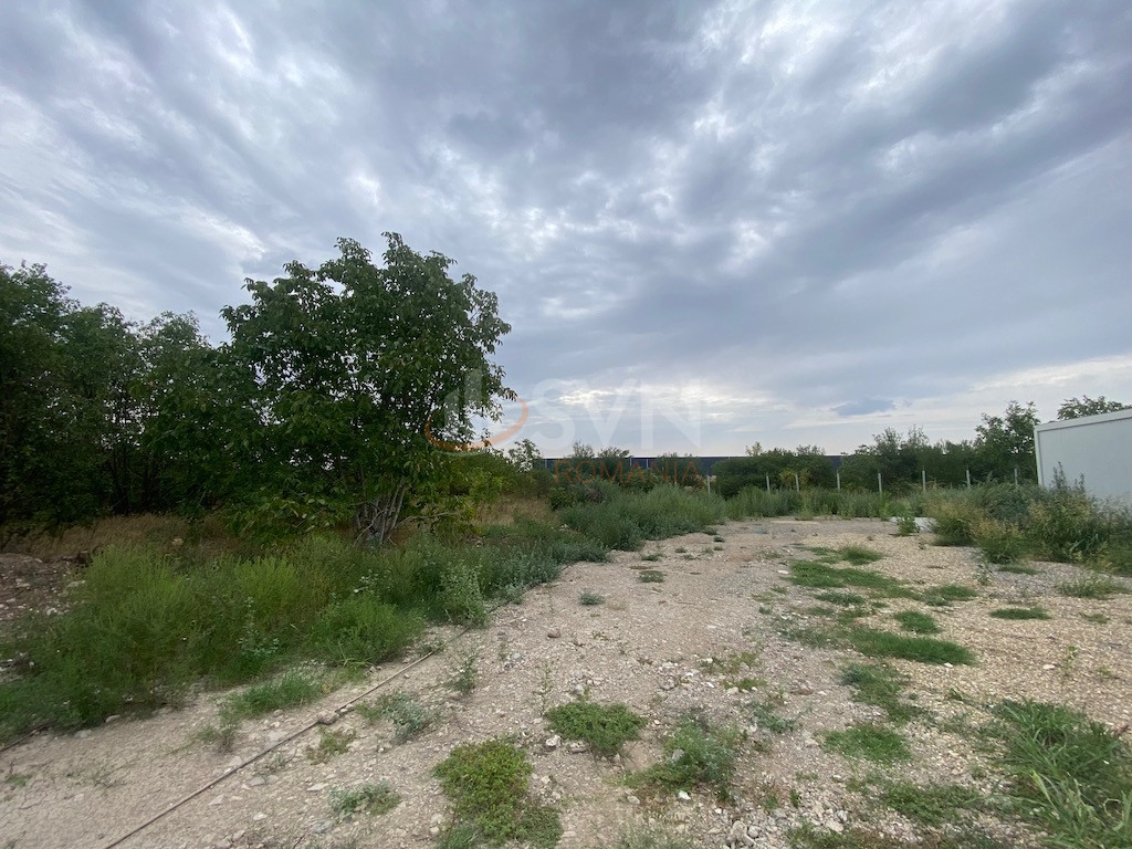 Teren 100000 mp Ilfov/Buftea