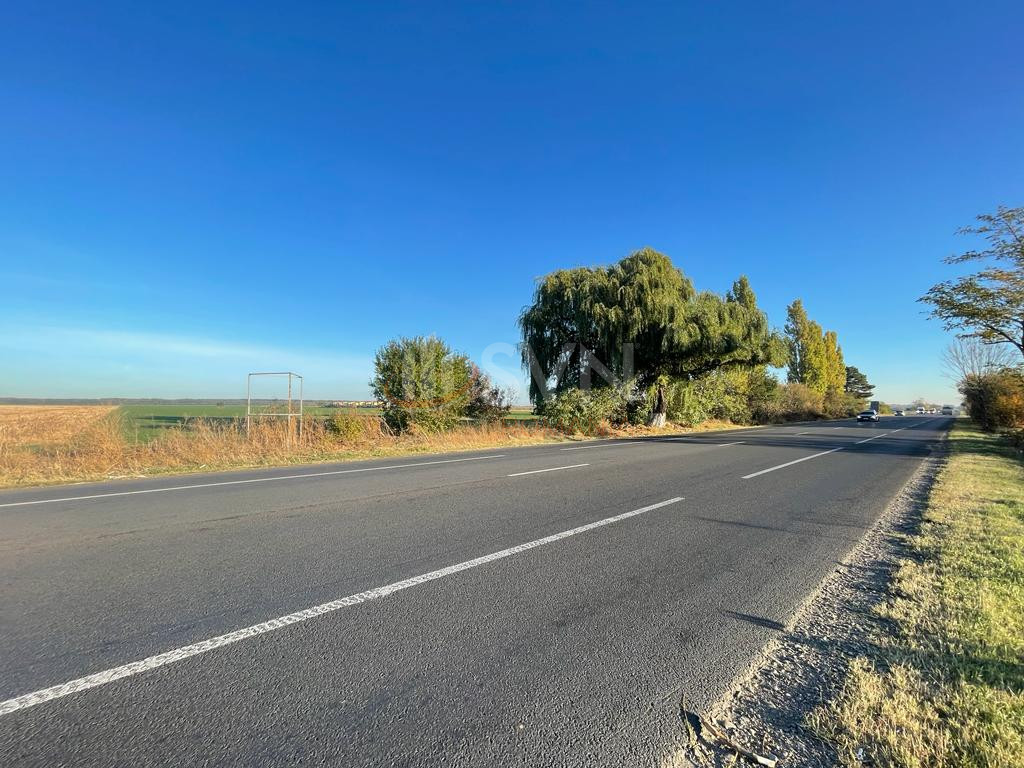 Teren 101319 mp Ilfov/Afumati