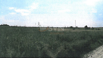 Teren 10568 mp Ilfov/Tancabesti