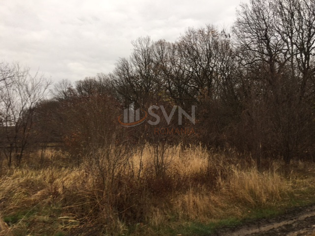 Teren 10752 mp Ilfov/Snagov