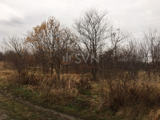 Teren 10752 mp Ilfov/Snagov